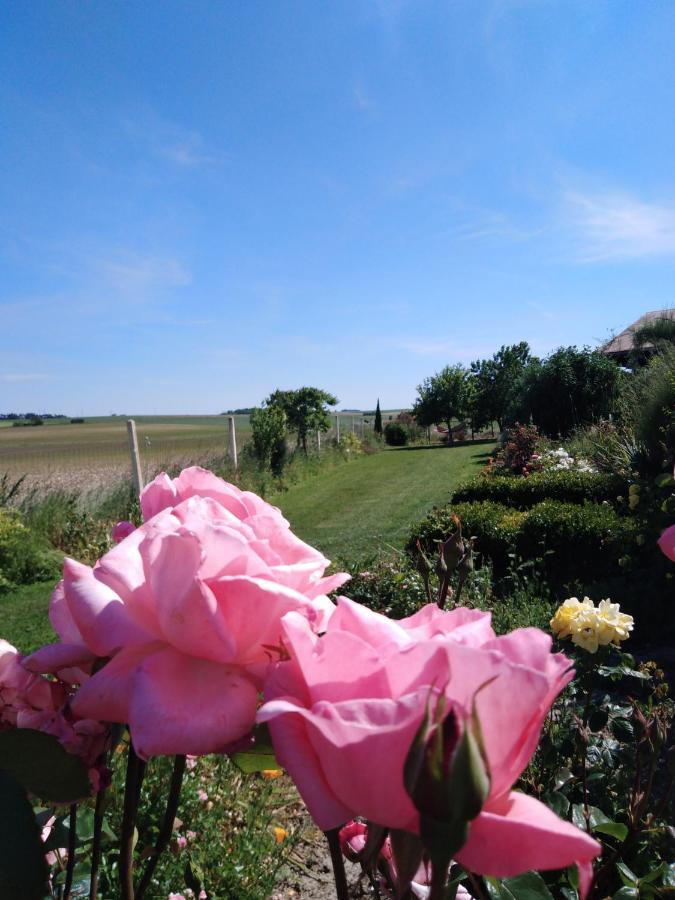 Bed and Breakfast A L Epoque Bouges  Экстерьер фото